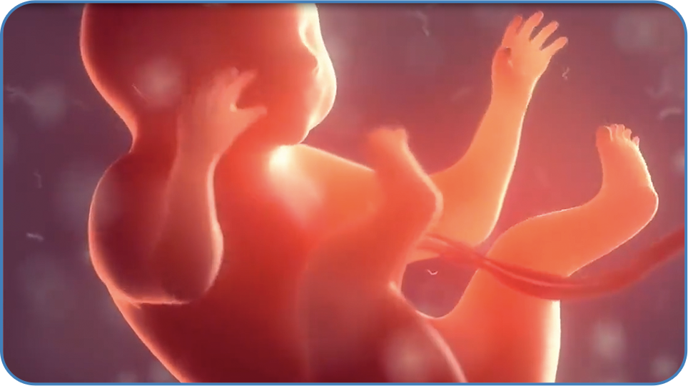 公共管理与服务虚拟仿真软件