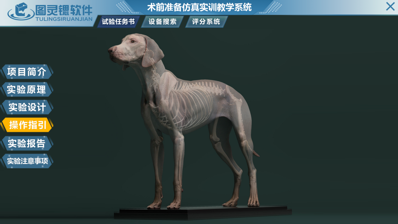 宠物外科手术虚拟仿真教学系统